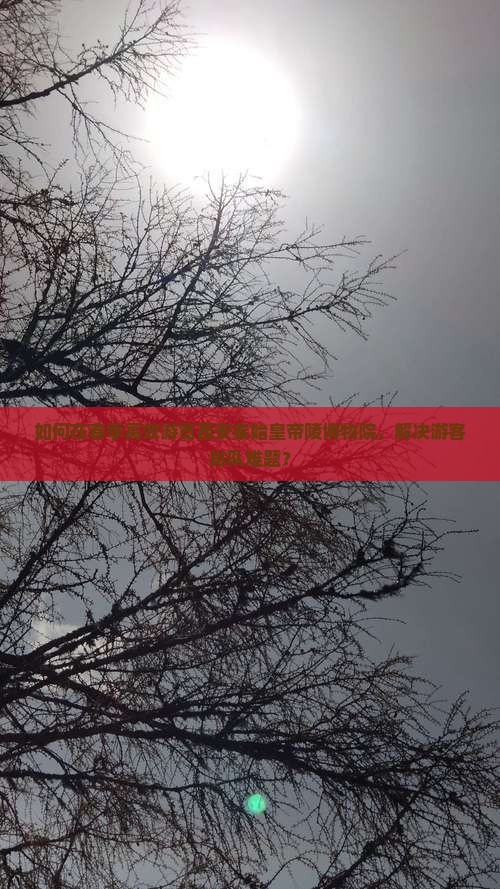 如何在春季高效游览西安秦始皇帝陵博物院，解决游客排队难题？