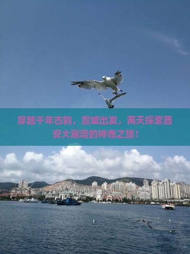 穿越千年古韵，宣城出发，两天探索西安大雁塔的神奇之旅！