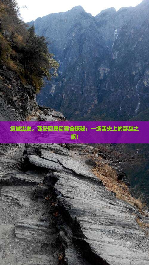 塔城出发，西安回民街美食探秘：一场舌尖上的穿越之旅！