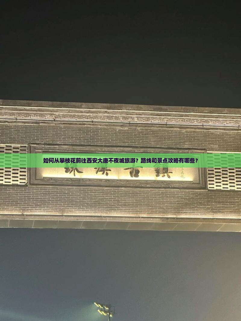 如何从攀枝花前往西安大唐不夜城旅游？路线和景点攻略有哪些？