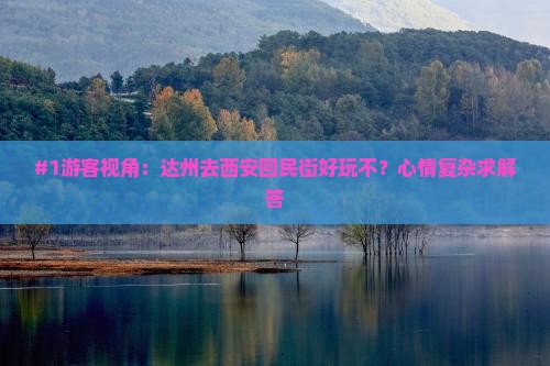 #1游客视角：达州去西安回民街好玩不？心情复杂求解答