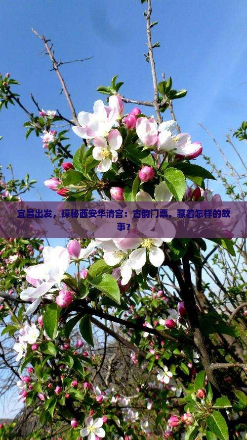 宜昌出发，探秘西安华清宫：古韵门票，藏着怎样的故事？