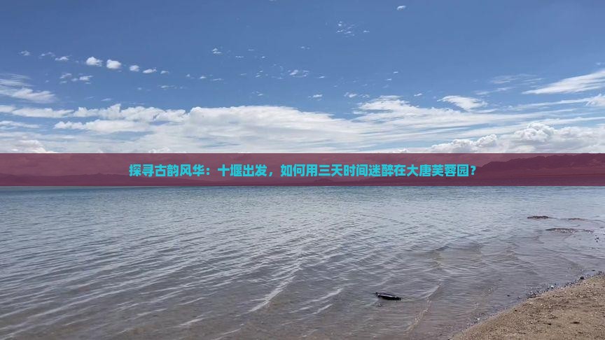 探寻古韵风华：十堰出发，如何用三天时间迷醉在大唐芙蓉园？