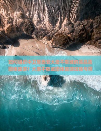 如何组织中卫至西安大唐不夜城的高品质团体旅游？大唐不夜城团体旅游攻略与预订流程是什么？