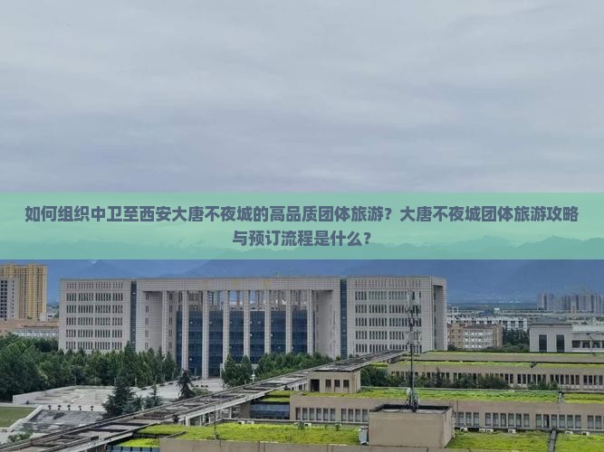 如何组织中卫至西安大唐不夜城的高品质团体旅游？大唐不夜城团体旅游攻略与预订流程是什么？