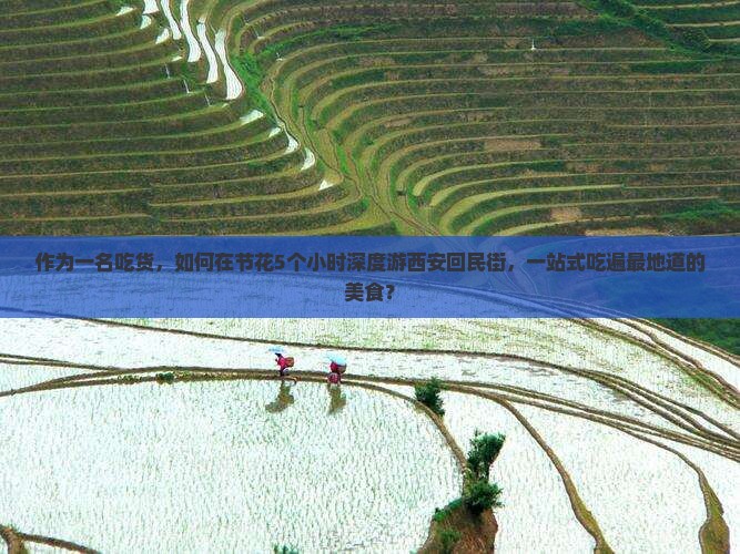 作为一名吃货，如何在节花5个小时深度游西安回民街，一站式吃遍最地道的美食？