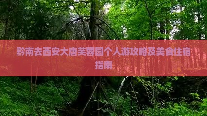 黔南去西安大唐芙蓉园个人游攻略及美食住宿指南