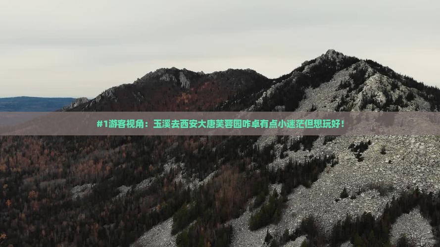 #1游客视角：玉溪去西安大唐芙蓉园咋卓有点小迷茫但想玩好！