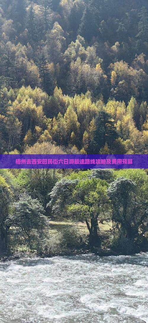 梧州去西安回民街六日游最速路线攻略及费用预算