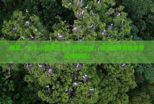 朋友，10人小团队怎么从开封出发，畅游西安秦始皇帝陵博物院？