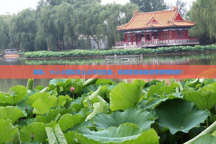 朋友，10人小团队怎么从开封出发，畅游西安秦始皇帝陵博物院？
