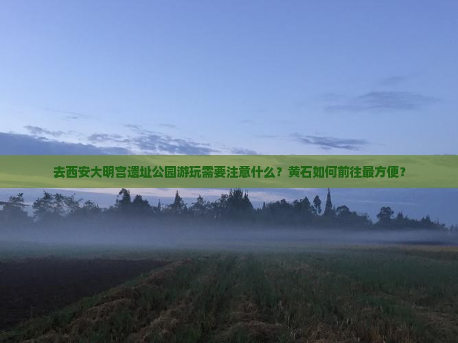 去西安大明宫遗址公园游玩需要注意什么？黄石如何前往最方便？