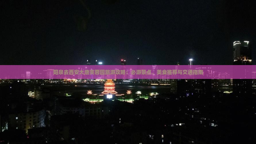 阳泉去西安大唐芙蓉园旅游攻略：必游景点、美食推荐与交通指南