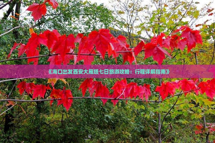 《海口出发西安大雁塔七日旅游攻略：行程详解指南》