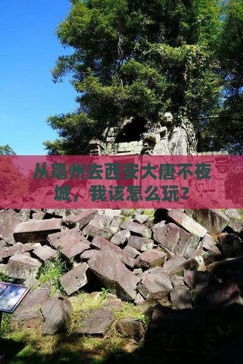 从亳州去西安大唐不夜城，我该怎么玩？