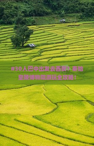 #30人巴中出发去西安？秦始皇陵博物院游玩全攻略！