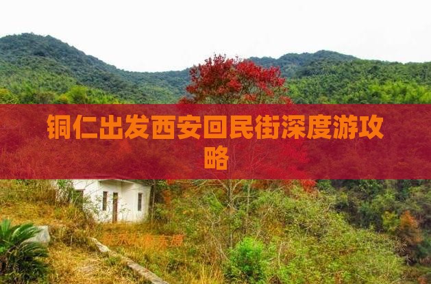 铜仁出发西安回民街深度游攻略