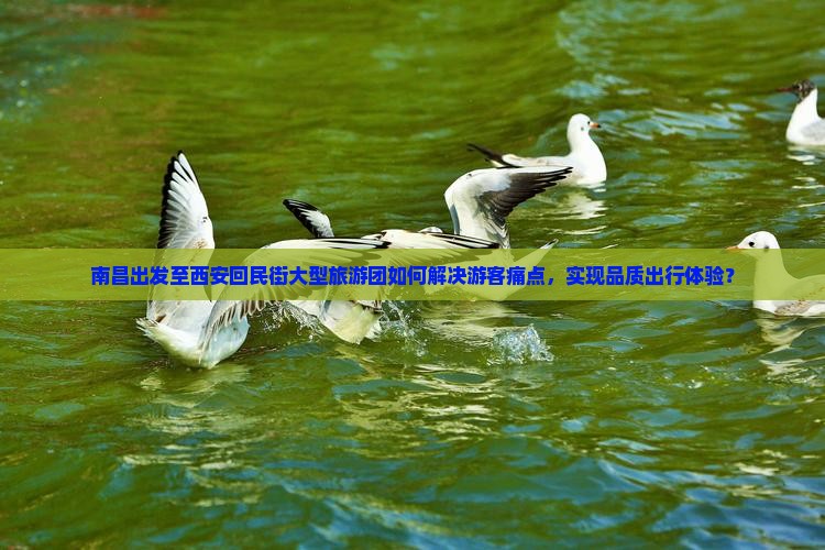 南昌出发至西安回民街大型旅游团如何解决游客痛点，实现品质出行体验？