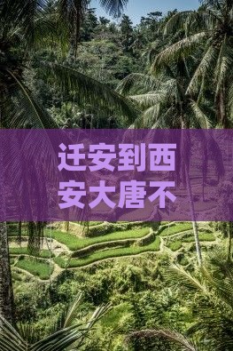 迁安到西安大唐不夜城七日游