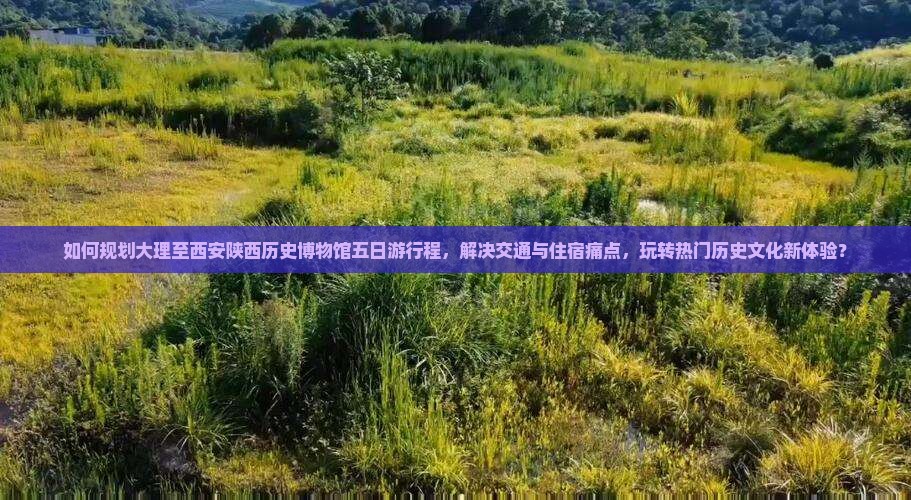 如何规划大理至西安陕西历史博物馆五日游行程，解决交通与住宿痛点，玩转热门历史文化新体验？