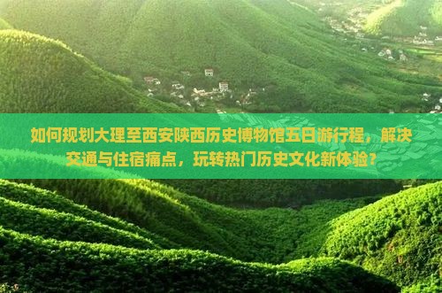 如何规划大理至西安陕西历史博物馆五日游行程，解决交通与住宿痛点，玩转热门历史文化新体验？