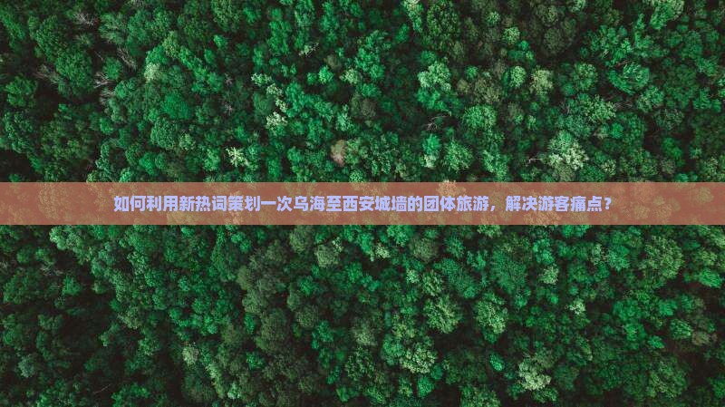 如何利用新热词策划一次乌海至西安城墙的团体旅游，解决游客痛点？