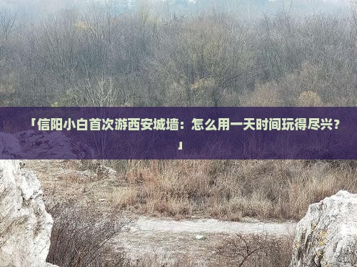 「信阳小白首次游西安城墙：怎么用一天时间玩得尽兴？」
