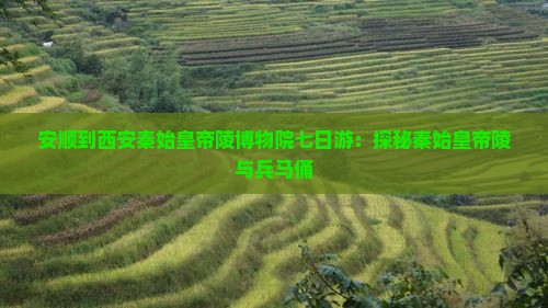 安顺到西安秦始皇帝陵博物院七日游：探秘秦始皇帝陵与兵马俑