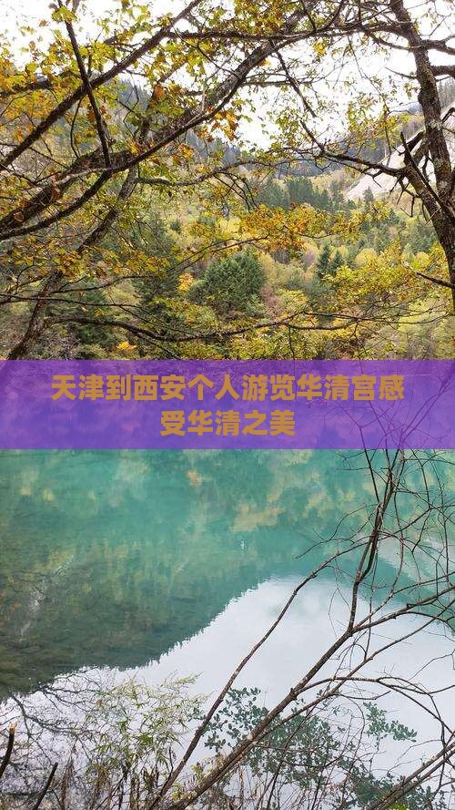 天津到西安个人游览华清宫感受华清之美