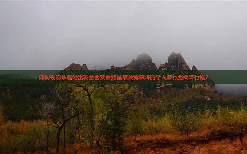 如何规划从临沧出发至西安秦始皇帝陵博物院的个人旅行路线与行程？