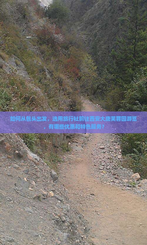 如何从包头出发，选用旅行社前往西安大唐芙蓉园游览，有哪些优惠和特色服务？