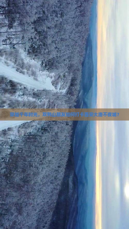 穿越千年时光，双鸭山朋友如何打卡西安大唐不夜城？