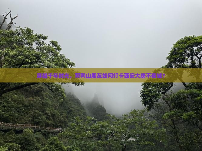 穿越千年时光，双鸭山朋友如何打卡西安大唐不夜城？