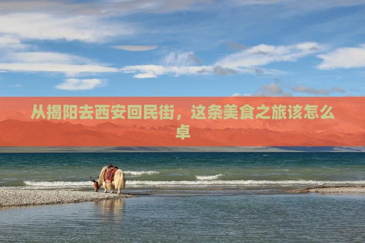 从揭阳去西安回民街，这条美食之旅该怎么卓