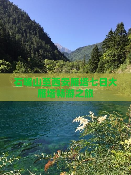 石嘴山至西安雁塔七日大雁塔畅游之旅