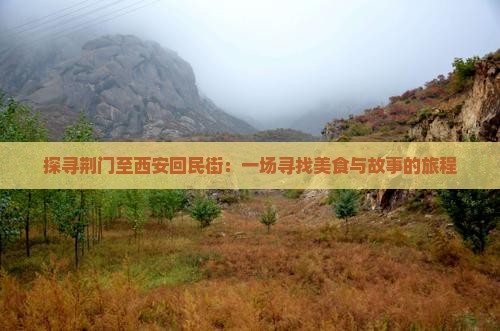 探寻荆门至西安回民街：一场寻找美食与故事的旅程