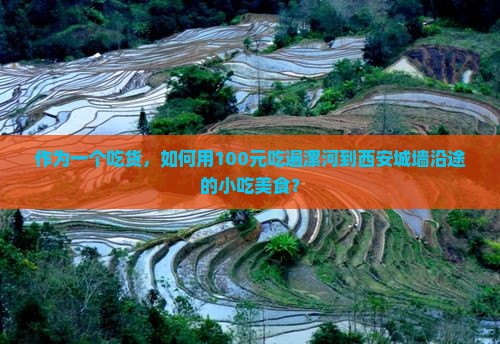 作为一个吃货，如何用100元吃遍漯河到西安城墙沿途的小吃美食？