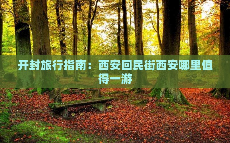 开封旅行指南：西安回民街西安哪里值得一游