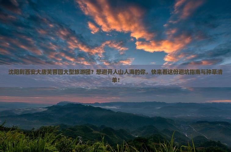 沈阳到西安大唐芙蓉园大型旅游团？想避开人山人海的你，快来看这份避坑指南与种草清单！