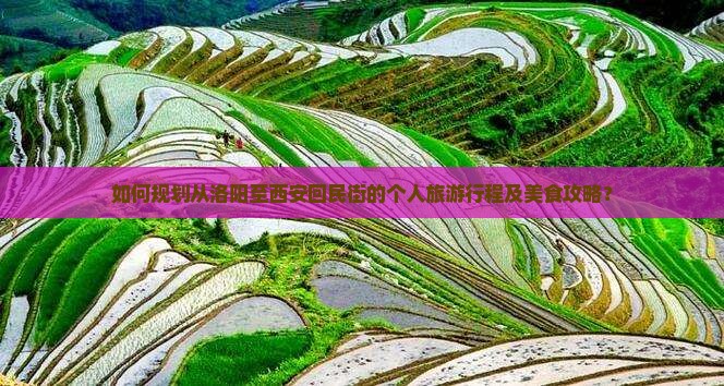 如何规划从洛阳至西安回民街的个人旅游行程及美食攻略？
