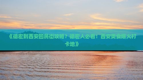 《德宏到西安回民街攻略？德宏人必看！西安美食爆火打卡地》
