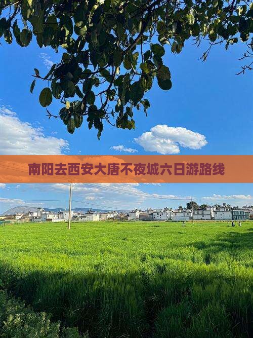 南阳去西安大唐不夜城六日游路线