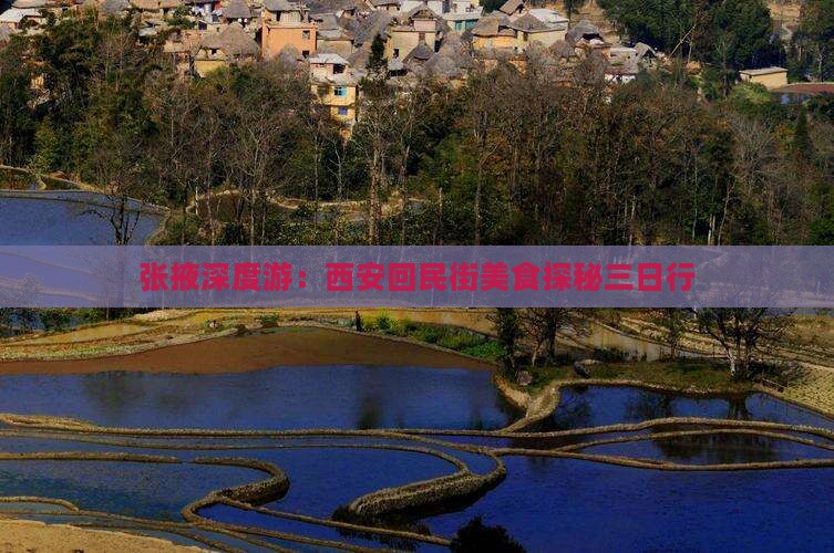 张掖深度游：西安回民街美食探秘三日行