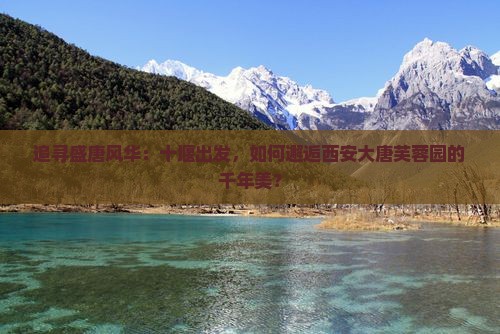 追寻盛唐风华：十堰出发，如何邂逅西安大唐芙蓉园的千年美？