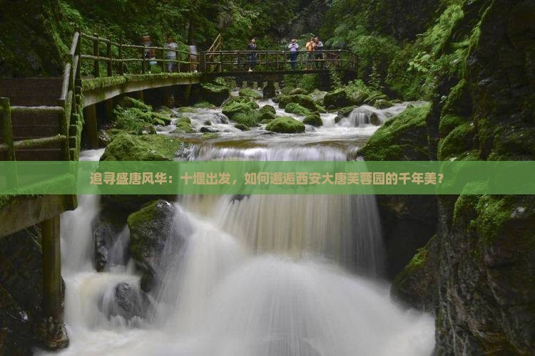 追寻盛唐风华：十堰出发，如何邂逅西安大唐芙蓉园的千年美？