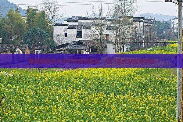 莆田到西安大唐不夜城哪里玩：热门景点深度游攻略