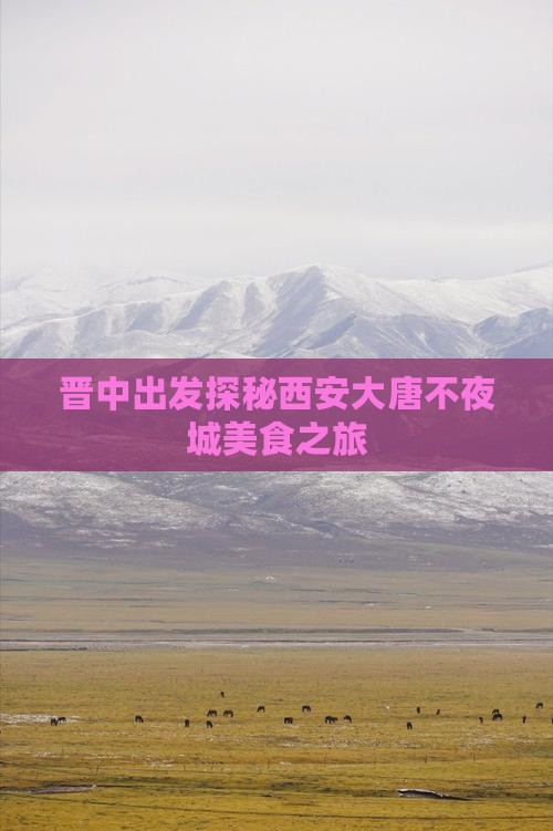 晋中出发探秘西安大唐不夜城美食之旅
