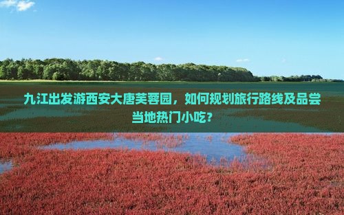 九江出发游西安大唐芙蓉园，如何规划旅行路线及品尝当地热门小吃？