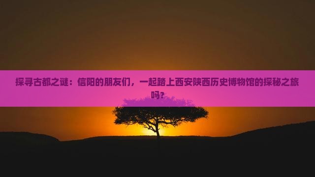 探寻古都之谜：信阳的朋友们，一起踏上西安陕西历史博物馆的探秘之旅吗？