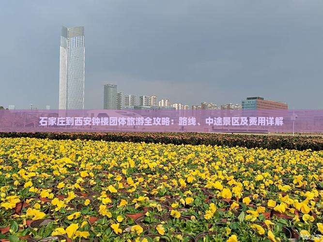 石家庄到西安钟楼团体旅游全攻略：路线、中途景区及费用详解